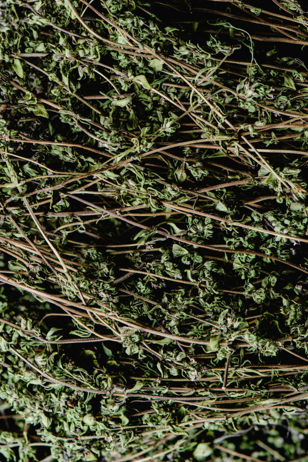 Thyme