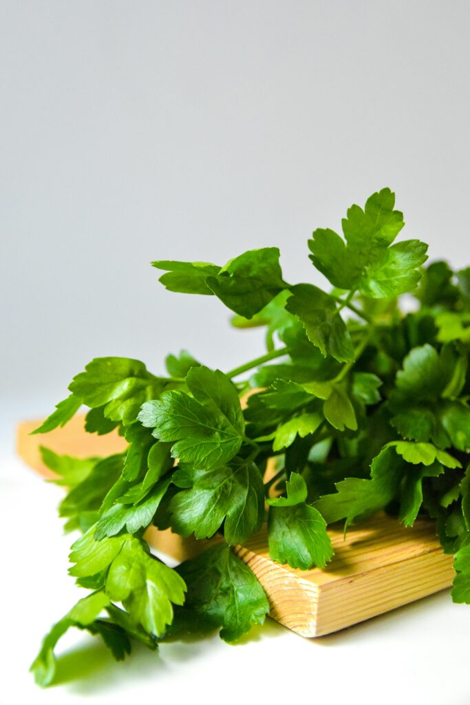 Raised Garden Herbs