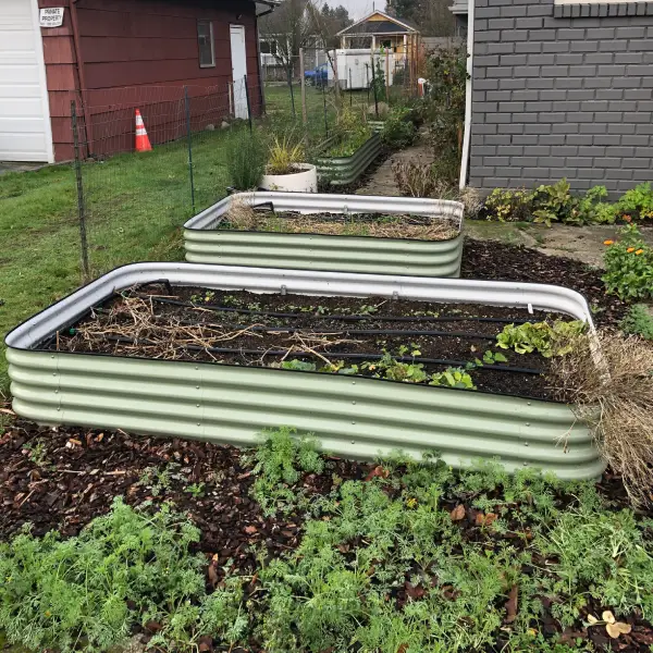 Corrugated Metal Raised Herb Garden Beds