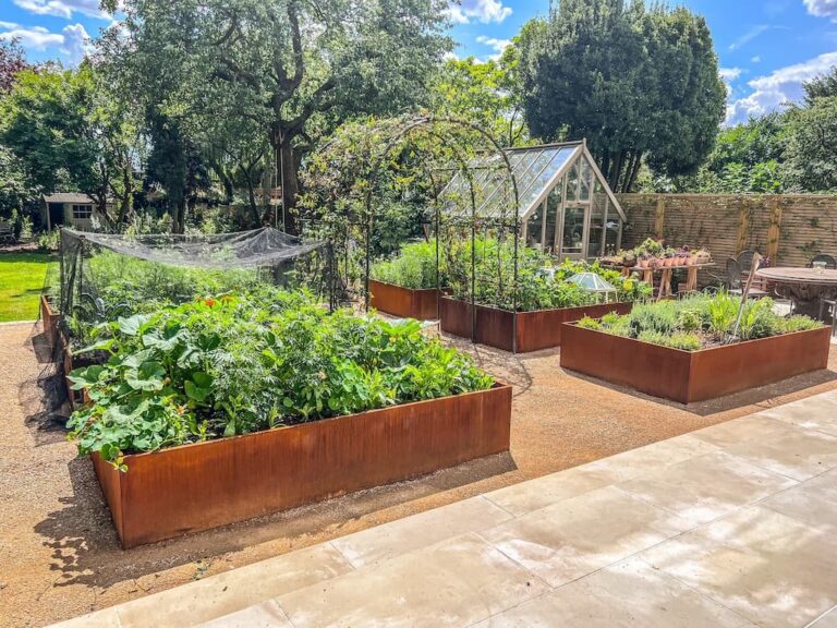 Corten Steel Raised Beds - Growing Herbs